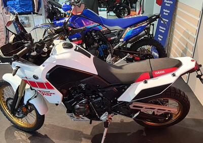 Yamaha Ténéré 700 Rally Edition (2022 - 24) - Annuncio 9902635