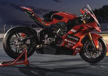 Ducati Panigale V4 Márquez 2025 World Champion Replica: il tributo a Re Marc [GALLERY e VIDEO]