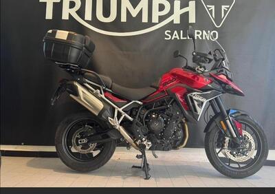 Triumph Tiger 900 GT Pro (2024 - 25) - Annuncio 9894585