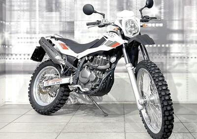 Betamotor Alp 4.0 (2006 - 08) - Annuncio 9906641