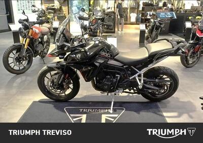 Triumph Tiger 900 GT Pro (2024 - 26) - Annuncio 9878357