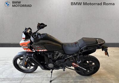 Harley-Davidson Pan America 1250 (2020 - 25) - Annuncio 9900160