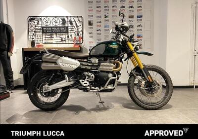 Triumph Scrambler 1200 Steve McQueen Edition (2021 - 22) - Annuncio 9810021