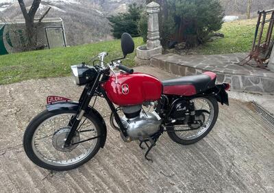 Gilera 175 Sport - Annuncio 9913471