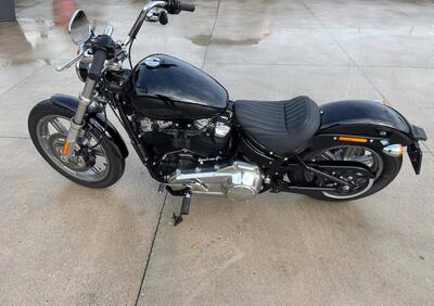 Harley-Davidson Softail Standard (2021 - 25) - Annuncio 9913787