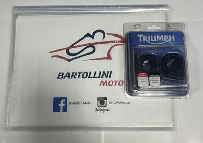 Regolatore - Annuncio 9914073