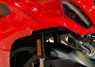 Ducati Panigale V2 (2025 - 26) - Annuncio 9915527