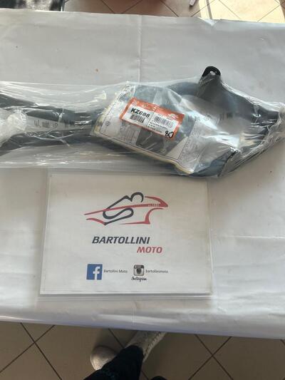 Monorack specifico per BMW R1200R per il 2006 kappa