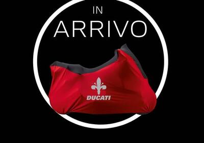 Ducati Scrambler 800 Full Throttle (2017 - 21) - Annuncio 9916469