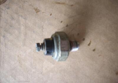 BULBO OLIO GLADIATOR 500 Cectek - Annuncio 9917484