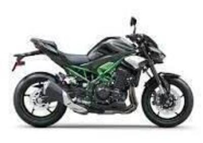 Kawasaki Z 900 (2025 - 26) - Annuncio 9918342
