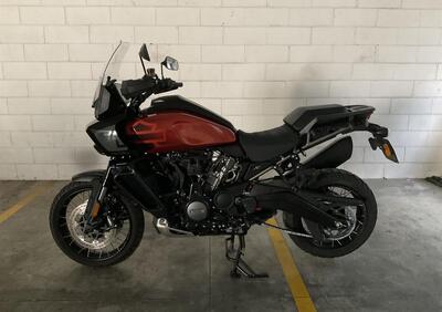 Harley-Davidson Pan America 1250 Special (2020 - 25) - Annuncio 9918609