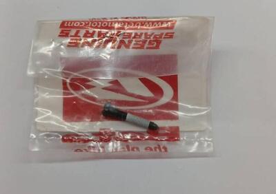 31.63668.000 VITE REGISTRO KEIHIN Betamotor - Annuncio 9919092