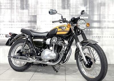 Kawasaki W 800 (2010 - 17) - Annuncio 9919228