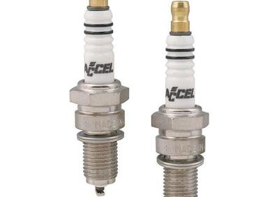 Can - Annuncio 8549812