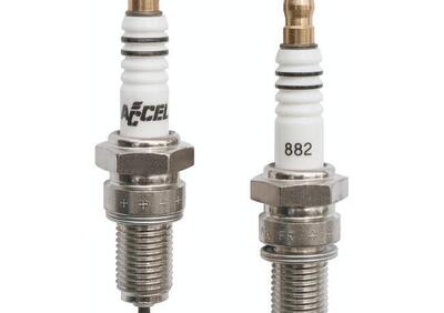 Can - Annuncio 8549814