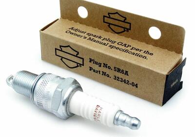 Can - Annuncio 8549836