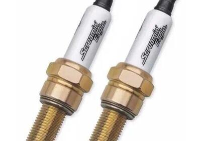 Coppia can - Annuncio 9099174