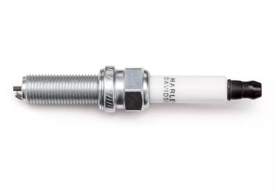 Can - Annuncio 9152737