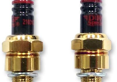 Can - Annuncio 9194256