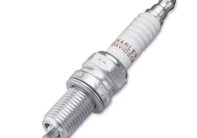 Can - Annuncio 9309029