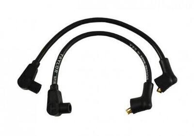 Cavi can - Annuncio 8549867