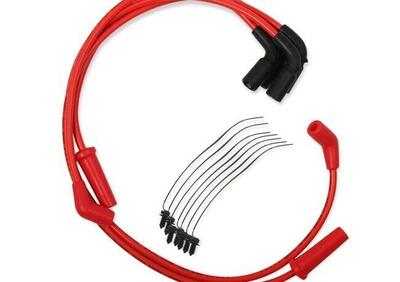 Cavi can - Annuncio 8550017