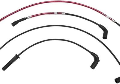 Cavi can - Annuncio 9213179