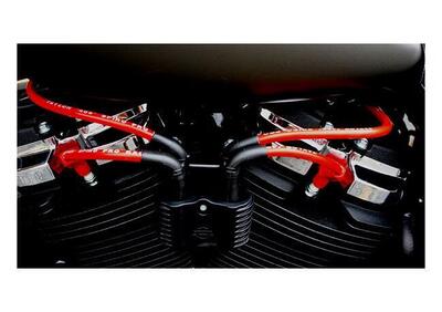 Cavi can - Annuncio 9721006