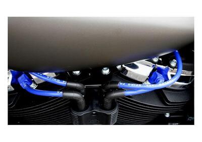 Cavi can - Annuncio 9721008