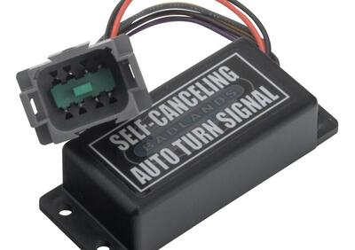 Centralina intermittenza frecce Badlands con rient - Annuncio 8559897