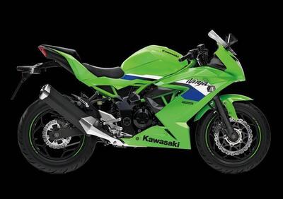 Kawasaki Ninja 125 (2025 - 26) - Annuncio 9921211