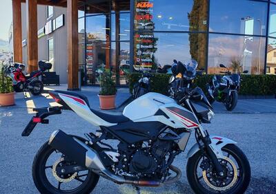 Kawasaki Z 400 (2023) - Annuncio 9921736