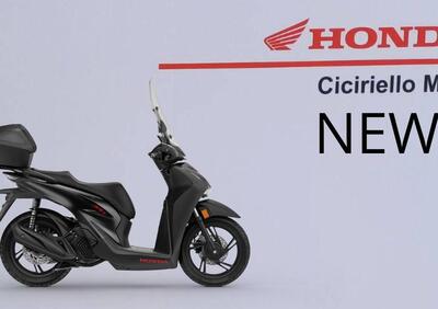 Honda SH 150 Sport (2026) - Annuncio 8573984