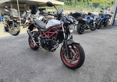 Suzuki SV650 (2021 - 24) - Annuncio 9770493