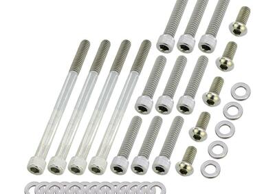 Kit viti inox coperchio primaria per Pan America d  - Annuncio 9440018