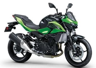 Kawasaki Z 500 (2024 - 26) - Annuncio 9401312