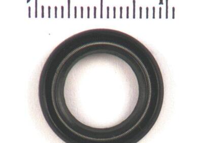 Guarnizione paraolio alberino - Annuncio 8553017