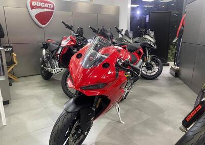 Ducati Panigale V2 (2025 - 26) - Annuncio 9926158