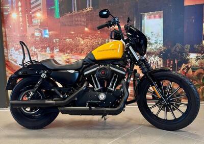 Harley-Davidson 883 Iron (2009 - 11) - XL 883N - Annuncio 9928629