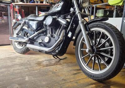 Harley-Davidson 883 Standard (2001 - 05) - XL 883 - Annuncio 9930694