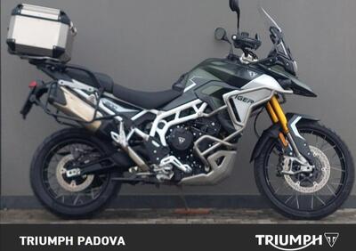 Triumph Tiger 900 Rally Pro (2024 - 26) - Annuncio 9932605