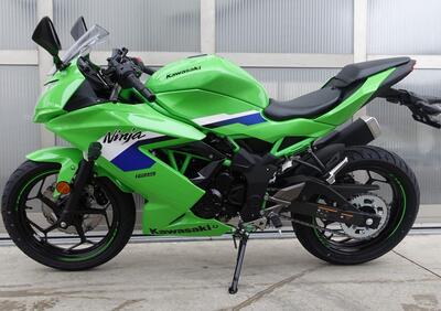 Kawasaki Ninja 125 (2025 - 26) - Annuncio 9932767