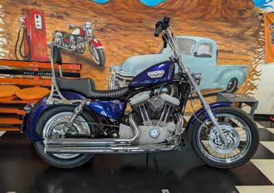 Harley-Davidson 1200 Roadster (2002 - 05) - XL 1200R - Annuncio 9937061