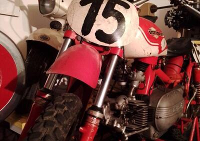 Aermacchi Harley-Davidson Cross Ala  Oro 250 ex Pasolini - Annuncio 9937613