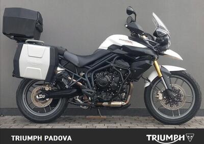 Triumph Tiger 800 ABS (2010 - 14) - Annuncio 9937596