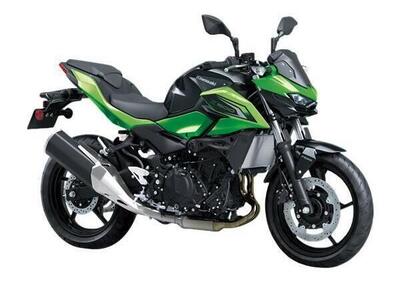 Kawasaki Z 500 (2024 - 26) - Annuncio 9938845