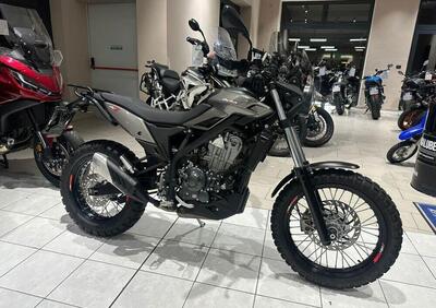 Betamotor Alp X (2024 - 26) - Annuncio 9903089