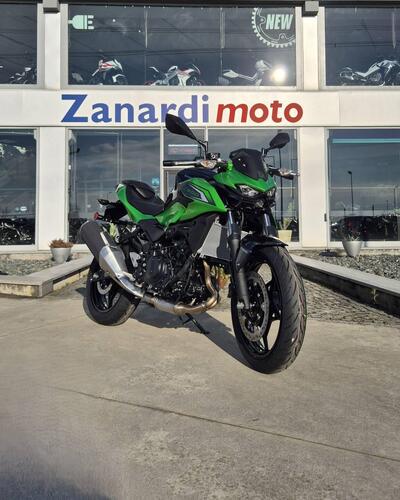 Kawasaki Z 500 (2024 - 26) nuova