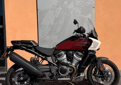 Harley-Davidson Pan America 1250 Special (2020 - 25) - Annuncio 9850984